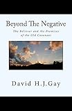  Beyond The Negative: The Believer and the Promises of the Old Covenant