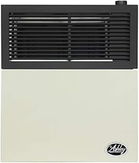 Ashley Hearth DVAG11L 11,000 BTU Direct Vent Propane Heater, Cream