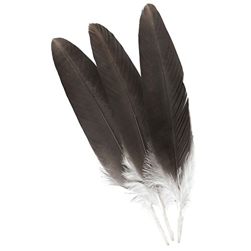 Eagle Feather，Hgshow 5pcs Imitation 12-14 inches (30-35cm) Rare and Precious Feathers
