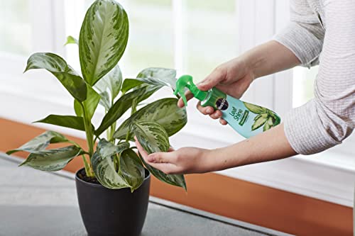 Review de Fertilizantes Miraclegro - solo los mejores. 3 Imagen adicional