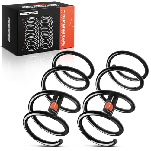 Frankberg 2x Muelles de chasis Muelles de suspensión Compatible con Kangoo KC0/1 1.9 dCi 4x4 1.6 16V 4x4 2001-2008 Replace# 8200143335,RA3506