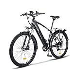 nakxus 27M204 Bicicletta Elettrica E-bike, Colore Grigio, Motore Brushless da 250 W, Batteria da 36 V 13 Ah, 25 km/h, IPX7, Display LCD con Controllo App, Portata fino a 100 km