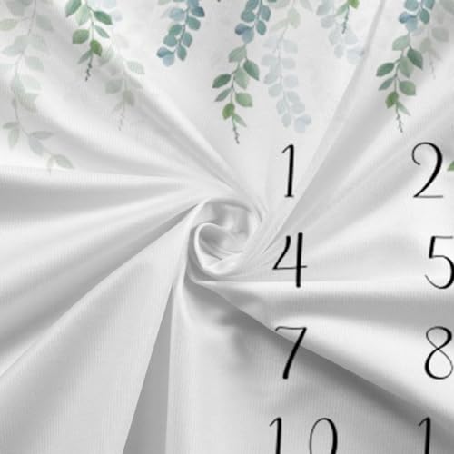 Image of Baby Milestone Blanket 60''x40'' Eucalyptus Leaves Newborn Photography Props Blanket for Boy & Girl Personalized Shower Props Baby Age Blanket to Record Baby Milestones with Frame