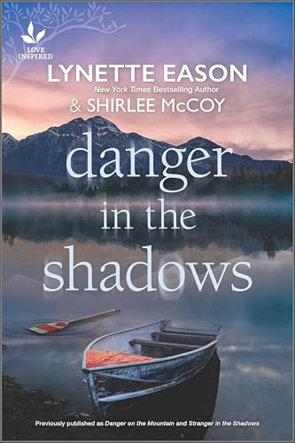 Danger in the Shadows view 2