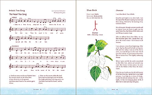 The Children's Forest: Stories & Songs, Wild Food, Crafts & Celebrations All Year Round (Hawthorn Press Early Years) #TOP3