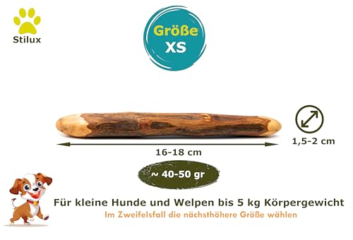 Stilux® Kauhloz aus Olivenholz für Hunde bis 5Kg, Größe XS, Kauknochen Hundespielzeug, langlebiges Holzknochen Kauspielzeug zur Hund Zahnpflege