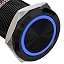 Black Shell-Blue