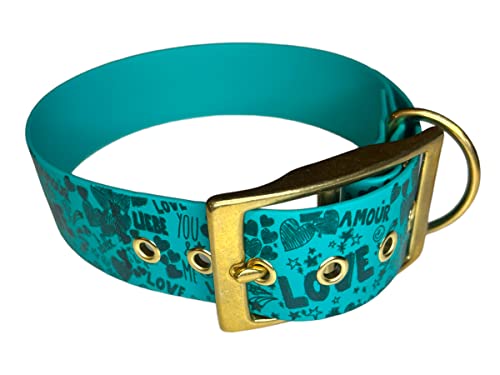Collier pour Chien en matière BioThane décoré, Largeur Grande (35-40 cm, Teal) Cover