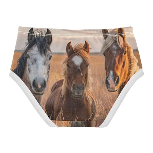 Toddler Underwear Floral 2t Cotton Panties for Girl Durable Briefs Underpants Cute Horses Grassland2
