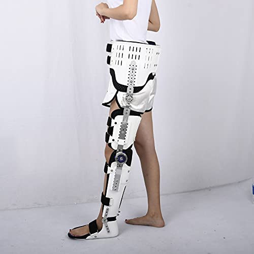 Ortesis de cadera y rodilla ajustable para rehabilitación miniatura 4