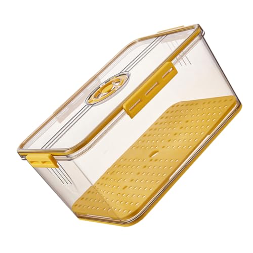 Mikinona 1Pc Fridge Fruit Box with Lid Transparent Pet Refrigerator Storage Case for Organizing Food and Kitchen Storage for Fruits and Snacks Your Fridge