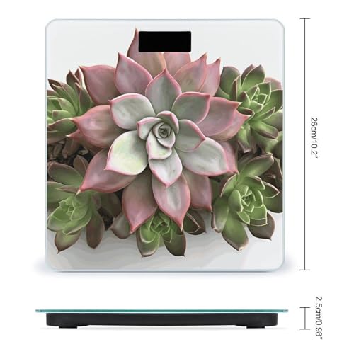 Báscula digital de baño con diseño botánico y pantalla LCD miniatura 2