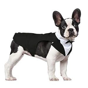 Kuoser Hondensmoking voor kleine en middelgrote en grote honden, puppyshirt met afneembare zwarte strik, hondenkostuum formele outfit voor bruiloft, feest
