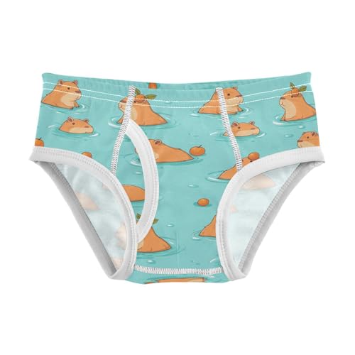 Boys' Underwear Cotton Little Boys Capybara Cartoon Briefs Soft Toddler Underwear 2T-8Y