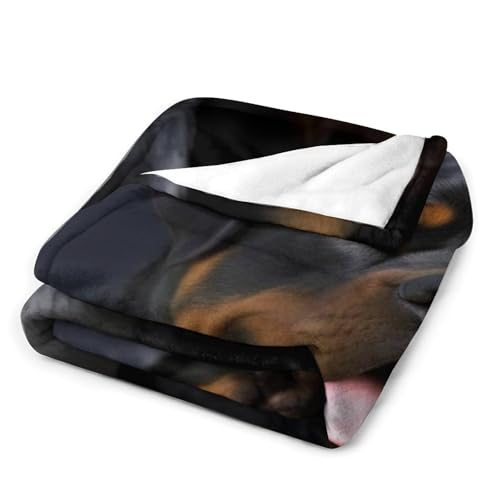 Couverture flanelle Rottweiler 168x229 cm pour canapé - 3