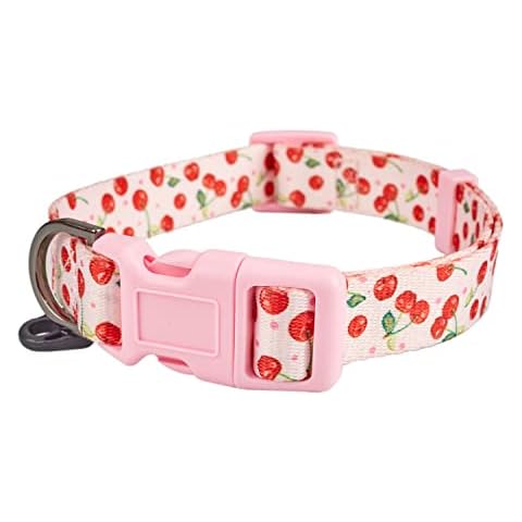 YUDOTE Patterned Polyester Dog Collar Soft Lightweight with Fresh and Young Cherry Furit Print for Medium Girl Canine Everyday Use,Sakura Pink Cover