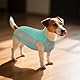 Kuoser Kühlweste Hund, L Hundekühlweste Sommer, UV-Schutz Shirt, Atmungsaktive Kühljacke, Leichte Sonnenschutz-Bekleidung, Insektenschutz für Outdoor, Must-Have für heiße Tage, Blau