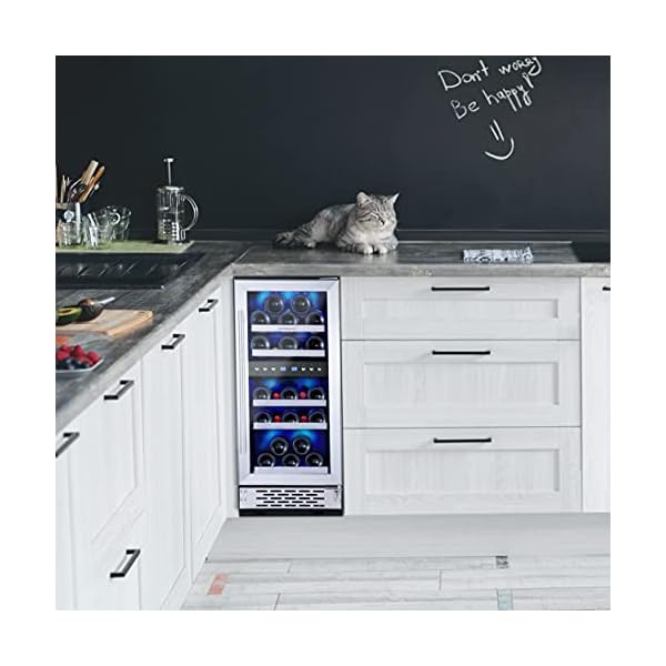 Phiestina 15 Inch Dual Zone Wine Cooler Refrigerator 29 Bottle Built