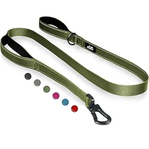 TwoEar 6FT 1IN Strong Green Dog Lea...