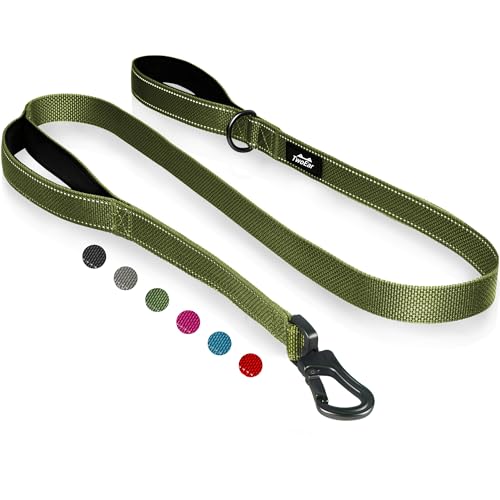 TwoEar 4FT 1IN Strong Green Dog Leash with 2 Padded Handles, Traffic Handle Extra Control, Comfortable Soft Dual Handle, Auto Lock Hook, Reflective Walking Lead for Small Medium and Large Do