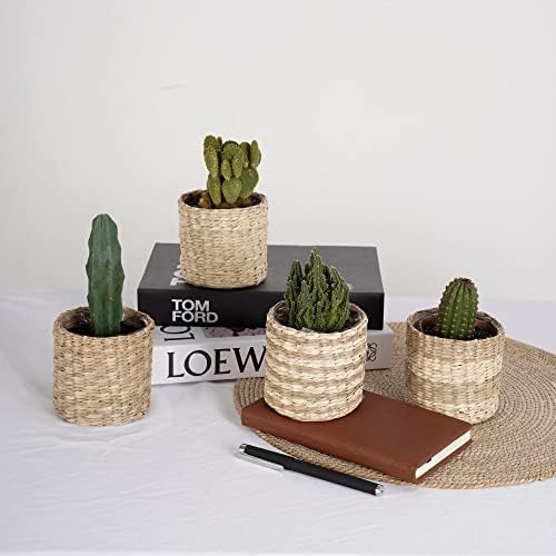 NEERGREVE Set of 4 Seagrass Planter Pot Indoor for Plant, Flower Pots, Succulent Pot, Basket Planter, Decorative Pot Cover (Natural White)