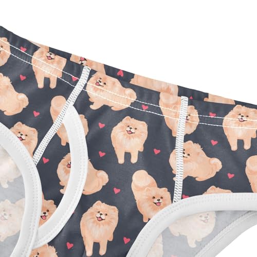 Cotton Little Boys Briefs Soft Pomeranian Dog Toddler Underwear4