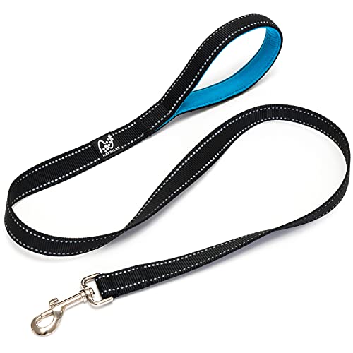 Happilax Correa Perro Reflectante con Asa Acolchado de Nylon Muy Resistente, Negro 1,20 m Cover