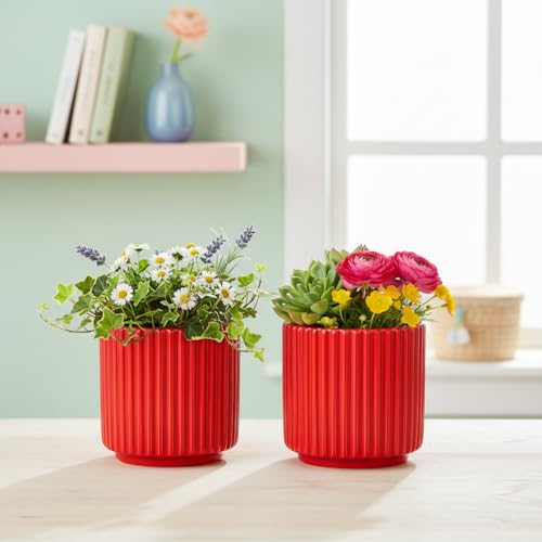 Image of Xtore 2Pc Striking Ribbed Red Ceramic Planter Pot for Indoor Plants & Bonsai Styling | Compact Round Design for Tabletop, Shelf & Desk Decor (Red, Pack of 2 - Planters only)