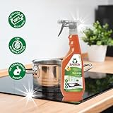 Zoom IMG-2 detergente per superfici kitchen frosch Zoom IMG-2 detergente per superfici kitchen frosch