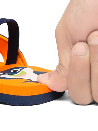 Image of ONYC Shark V Shape Sliders for Kids, Unisex