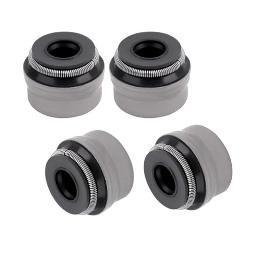 Kit tige d'admission de qualité supérieure 77036027000 pour moteur 400 450 500