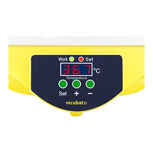 WXHN 7 Eier Mini Digital Inkubator Vollautomatische Brutmaschine Brutkasten Temperatur und Feuchtigkeitsregulierung Für… – Bild 6