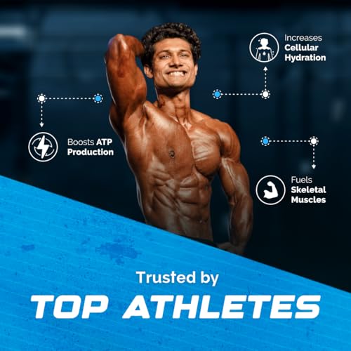 Image of Wellcore Pure Micronised Creatine Powder For Enhanced Muscle Strength With Rapid Absorption (83 Servings (Pack Of 2), Watermelon Wave)