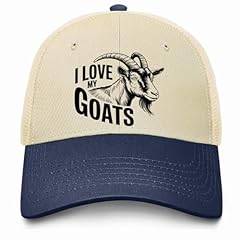 Off-white With Navy Blue Eaves