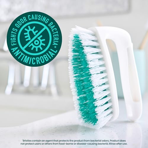 Image of Scotch-Brite All Purpose Brush - Durable Bristles for Tile Floors, Walls, Shower Doors, Tubs & Bathroom Fixtures, Ergonomic Non-Slip Handle, Multi-Surface Cleaning Tool, Easy to Rinse & Store, 1 Count