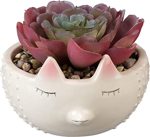Primitives-By-Kathy-Hedgehog-Planter Primitives By Kathy Hedgehog Planter