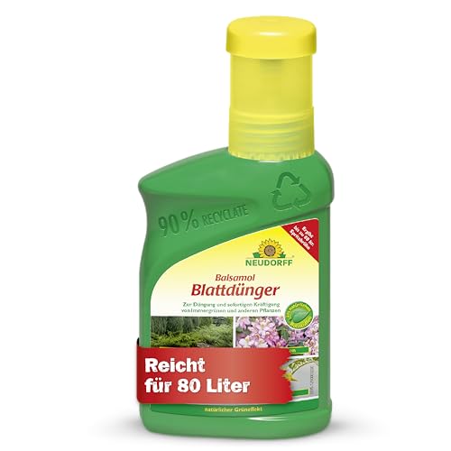 Neudorff Balsamol Blattdünger – Zur Düngung und sofortigen Kräftigung von geschwächten Koniferen, Rosen, Tomaten und anderen Pflanzen, 250 ml