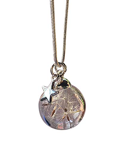 Regalo per la festa della mamma dente di leone ciondolo stella in...