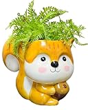 Streamline Imagined Squirrel Planter