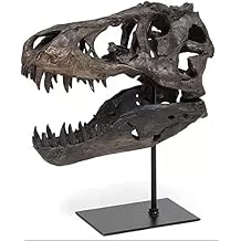 Dinosaur Skeleton Statue Resin Fossil Model Display Archaeology Craft Teaching Prop for Dinosaur Skull Archaeology Lovers Gifts Halloween Christmas Family Office Decor, with Stand,S