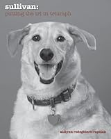 sullivan: putting the tri in triump 1494469553 Book Cover