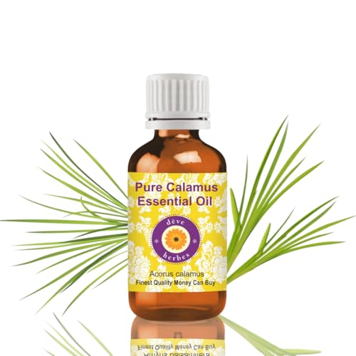 Huile essentielle de calamus pure Deve Herbes 15ml contre la fatigue intellectuelle