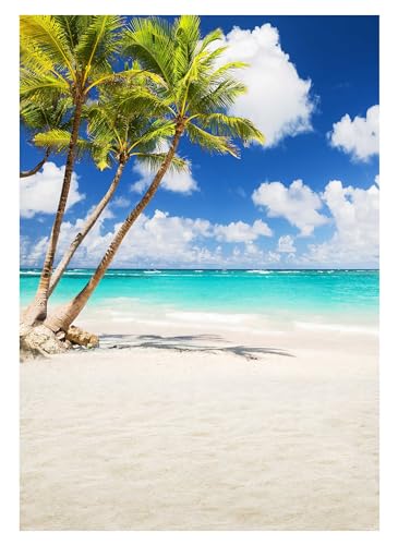 Allenjoy Tropical Seaside Beach Backdrop Summer Hawaii Island Palm Trees Photography Background for Boys Girls Portrait Holiday Travel Happy Birthday Party Dceor Banner 5x7ft Photo Booth Props