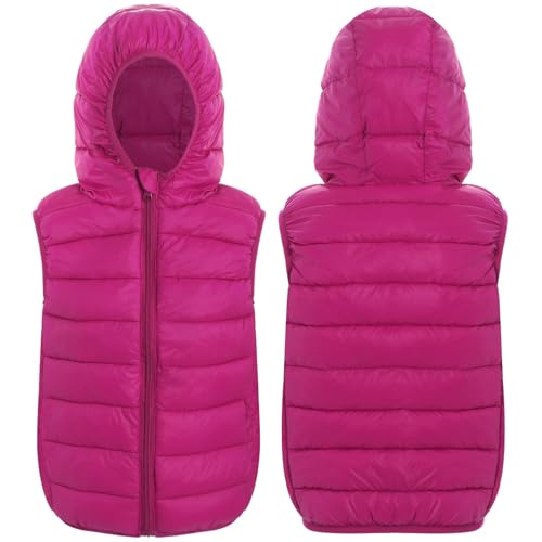 DINORMIN Boys Girls Sleeveless Waistcoat Vest Hooded Puffer Jacket Winter Warm Coat Windproof Gilet