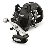 Daiwa Sealine 40 LINECOUNTER Reel 3 4.2 : 1