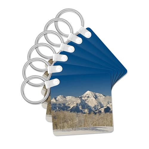 3dRose, Aspens, Box Elder Peak, Lone Peak, Utah, USA - US45 HGA0374 - Howie Garber, set of 6 Key Chains