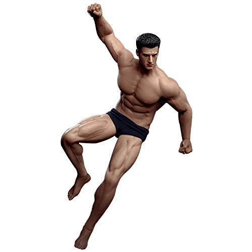 WQJJ TBLeague 1/12 Ensemble de Figurines d'action sans Couture pour Hommes, Corps en Silicone + tête + sous-vêtements poupées Super Flexible 6 Pouces pour Arts/Dessins/photographieMuscle Cover