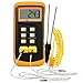 DANOPLUS Termómetro digital de termopar tipo K de alta precisión (-50 ~ 1300 °C) con canales duales, 4 sondas (cable y acero inoxidable), medidor de escala Kelvin de alta temperatura portátil