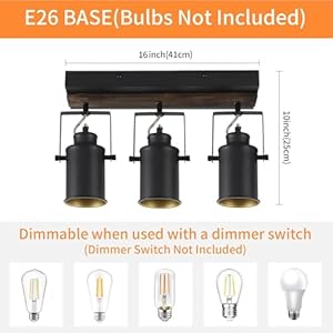 SEEBLEN Farmhouse 3 Light Track Light for Kitchen,Wall/Ceiling Light with Adjustable Heads,Kitchen Ceiling Light for Dining Room, Living Room, Closet,Sink. SEEBLEN Farmhouse 3 Light Track Light for KitchenWallCeiling Light with Adjustable HeadsKitchen Ceiling Light for Dining Room Living Room ClosetSink