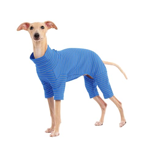 Pull pour chiens de grande taille extensible et chaud